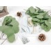 Miracliy 12 PCS Artificial Eucalyptus Stems, Eucalyptus Leaves Branches, Real Touch Eucalyptus Plant for Vases, Wedding Greenery Bouquet Fillers