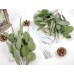 Miracliy 12 PCS Artificial Eucalyptus Stems, Mixed Eucalyptus Leaves Branches, Real Touch Eucalyptus Plant for Vases, Wedding Greenery Bouquet Fillers