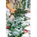 Miracliy 2 Pack Artificial Eucalyptus Garland with Willow Leaves, 6 Feet Fake Greenery Vines Swag for Wedding Table Runner Doorways Decoration Indoor Outdoor