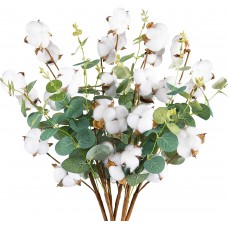 Miracliy 6 PCS Cotton Stems Decor with Eucalyptus Leaves 4 Cotton Heads for Farmhouse Style Floral Decorations 20”