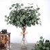 Miracliy 20 PCS Artificial Eucalyptus Stems Bulk, Faux Eucalyptus Leaves Greenery Stems for Vase Wedding Home Garland Decor