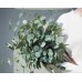 Miracliy Artificial Eucalyptus Leaves Greenery Stems Faux Silk Silver Dollar Eucalyptus Leaf Branches Green Bulk for Home Party Wedding Decoration, 6 PCS