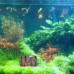 Miracliy Resin Broken Barrel Aquarium Decorations for Fish Tank, Aquarium Ornament Aquatic Caves Hide Hut