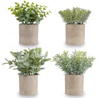 Miracliy Mini Potted Fake Plants Faux Artificial Eucalyptus Boxwood Rosemary Greenery in Gray Pots for Home Office Desk Bathroom Decoration Garden Decor, Indoor & Outdoor,Set of 4