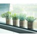 Miracliy Mini Potted Fake Plants Faux Artificial Eucalyptus Boxwood Rosemary Greenery in Gray Pots for Home Office Desk Bathroom Decoration Garden Decor, Indoor & Outdoor,Set of 4