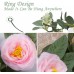Miracliy 2 PCS 6.5Ft Artificial Rose Vine Seeded Silk Flower Garland Faux Hanging Greenery Leaves for Wedding Backdrop Wall Decor(Pink Peony Garland)